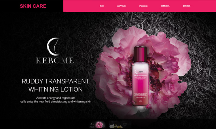 什么是百度快照劫持，如何解决？